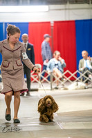 20260326-DSC03120