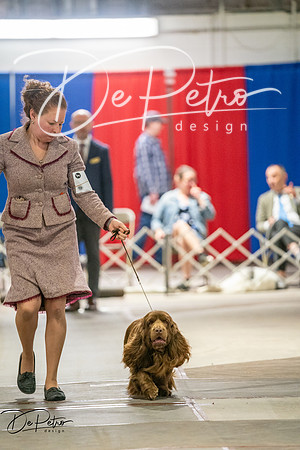 20260326-DSC03120