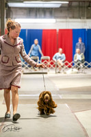 20260326-DSC03128