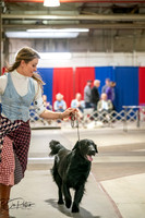 20260326-DSC03207