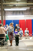 20260326-DSC03187