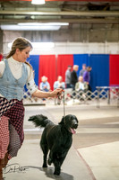 20260326-DSC03208
