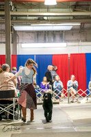 20260326-DSC03191