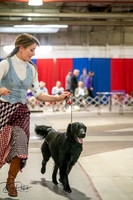 20260326-DSC03209