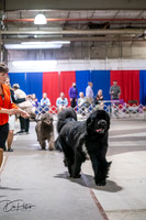 20260326-DSC03328
