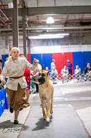 20260326-DSC03318