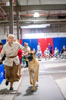 20260326-DSC03319