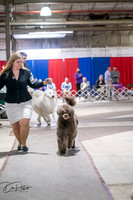 20260326-DSC03335