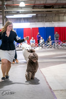 20260326-DSC03341