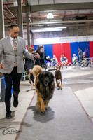 20260326-DSC03373