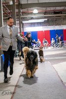 20260326-DSC03372