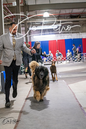 20260326-DSC03372