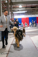 20260326-DSC03374