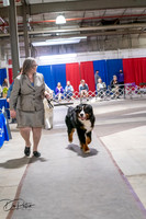 20260326-DSC03390