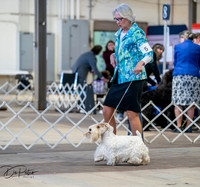 20260327-DSC03867