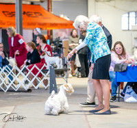 20260327-DSC03853