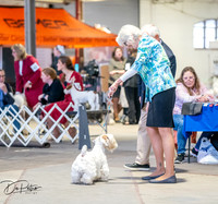 20260327-DSC03854