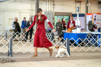 20260327-DSC03897