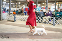 20260327-DSC03928