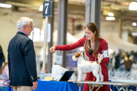 20260327-DSC03918