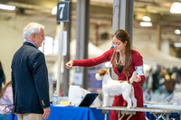 20260327-DSC03919