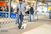 20260327-DSC03950