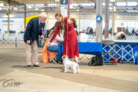 20260327-DSC03944