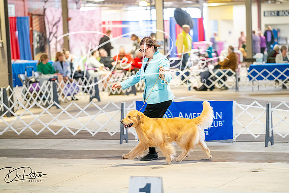 20260327-DSC04274