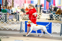 20260327-DSC04262