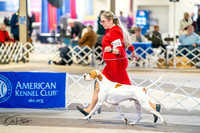 20260327-DSC04253