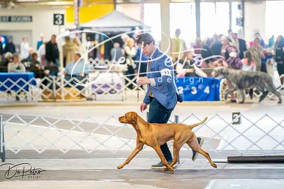 20260327-DSC04285