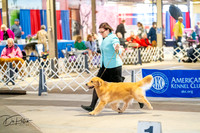 20260327-DSC04279