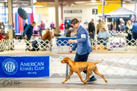 20260327-DSC04294
