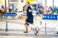 20260327-DSC04333