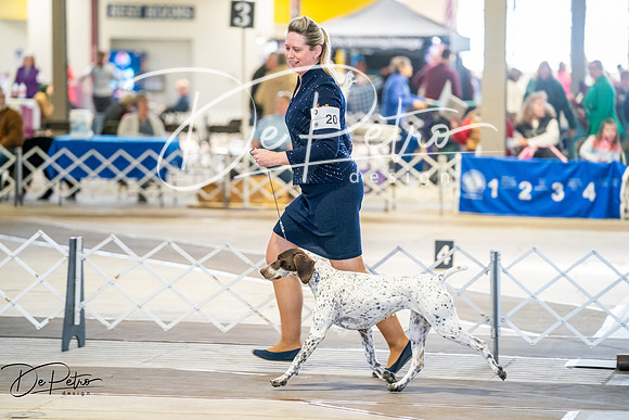 20260327-DSC04333