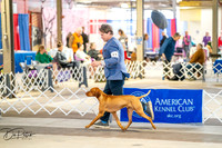 20260327-DSC04307