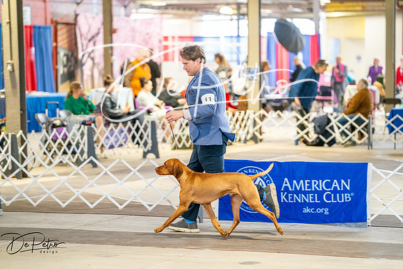 20260327-DSC04307