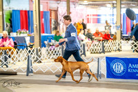 20260327-DSC04312