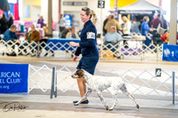 20260327-DSC04337