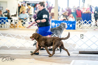 20260327-DSC04358