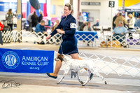 20260327-DSC04342