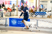 20260327-DSC04346