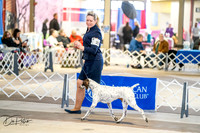 20260327-DSC04351