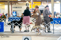20260327-DSC04648