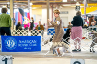 20260327-DSC04655