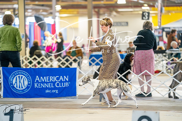 20260327-DSC04655