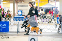 20260327-DSC04668