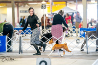 20260327-DSC04684