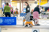 20260327-DSC04672