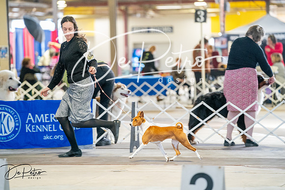 20260327-DSC04691